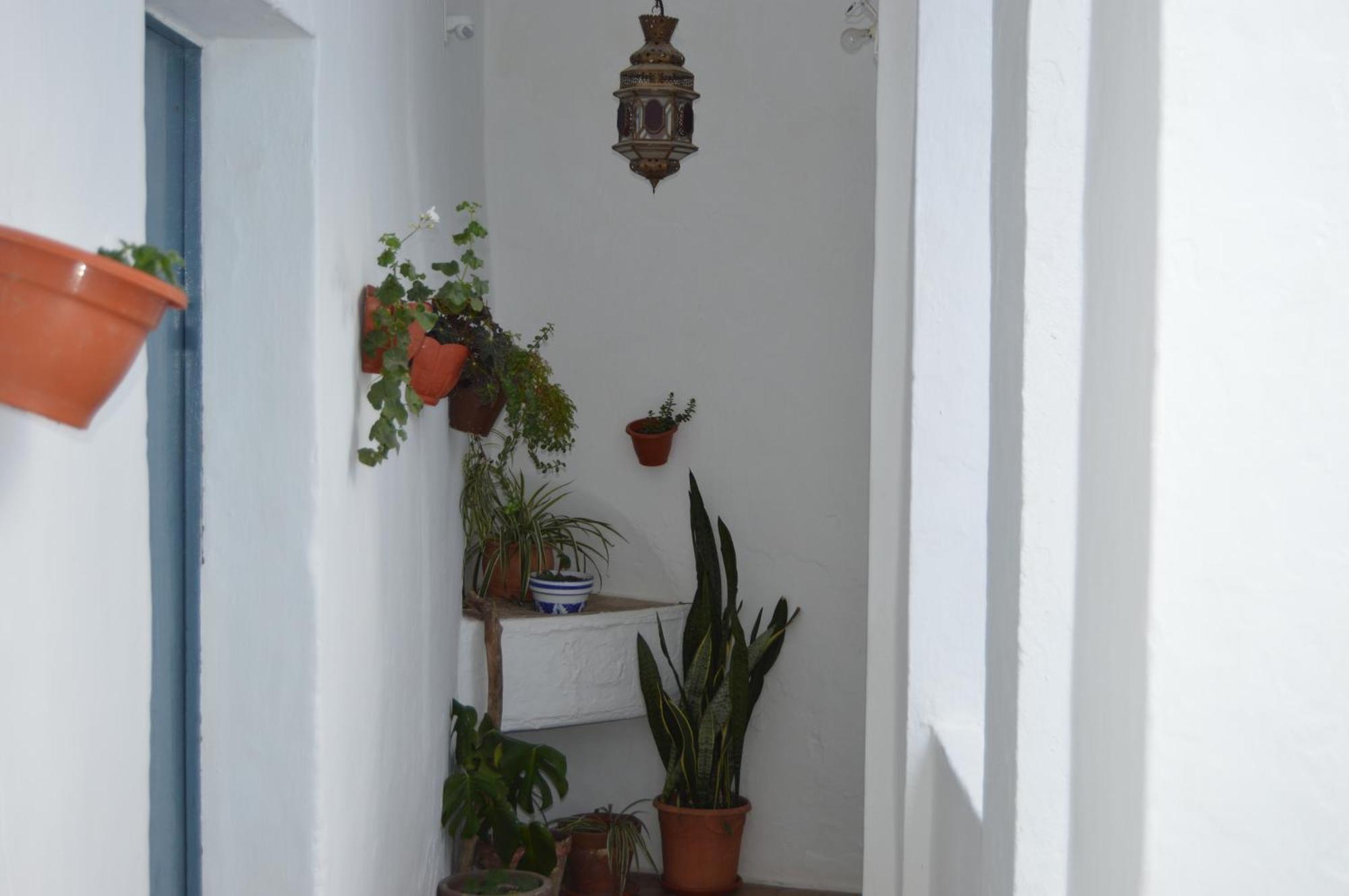 Апартаменти Nuestra Casa En Vejer Вехер-де-ла-Фронтера Екстер'єр фото